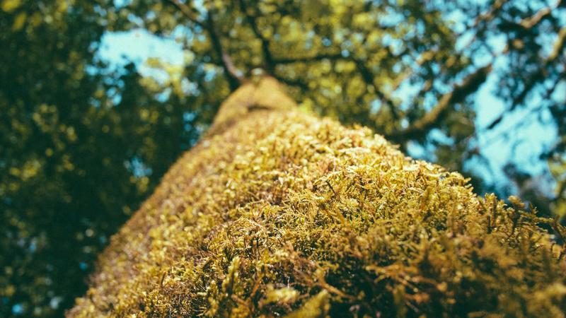 欧美日韩一区新闻动态全球视野